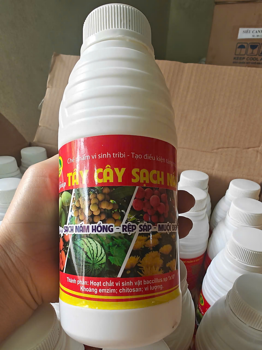 Tẩy rửa rong rêu trên cây trồng, nấm mốc, muội đen, nấm hồng, rệp sáp trên cây trồng 480ml